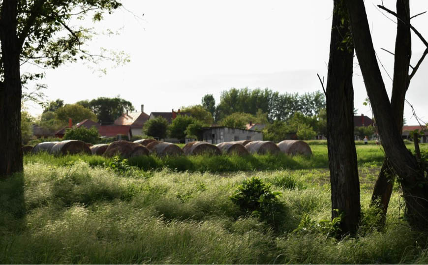 The End of Traditional Platforms: How Can Independent Media Reach Rural Women in Hungary?