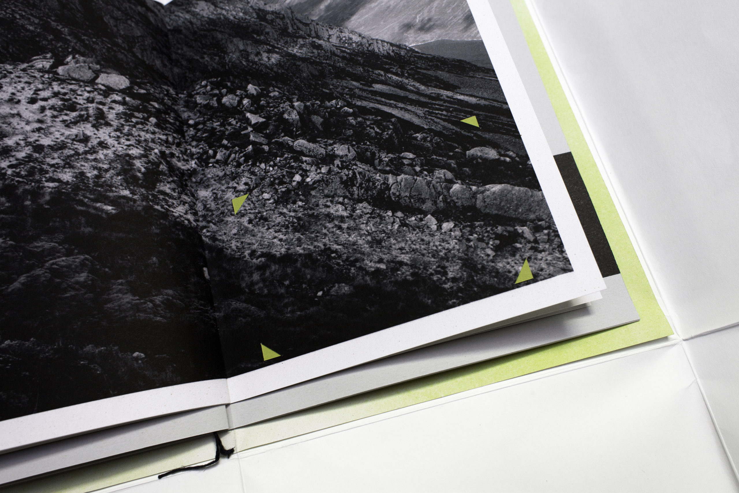 Rebels with a Printer: Independent Analog Publishing in the Digital Age